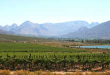 Cape Town to host international agricultural conference Cape Town to host international agricultural conference