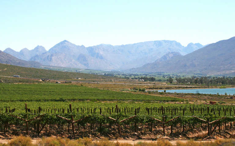 Cape Town to host international agricultural conference Cape Town to host international agricultural conference