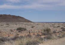 Western Cape drought: province entering unchartered water Western Cape drought: province entering unchartered water