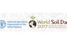 World Soil Day