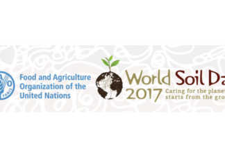 World Soil Day