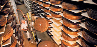 Delving into the mysteries of Kaltbach’s subterranean cheeses