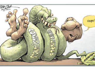 Ramaphosa’s land reform problem