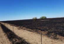 No leads on Free State veld fire No leads on Free State veld fire