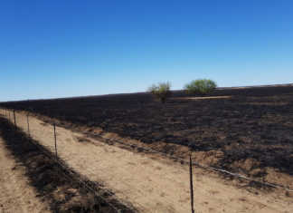 No leads on Free State veld fire No leads on Free State veld fire