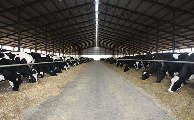 How to prevent gut problems in your dairy herd How to prevent gut problems in your dairy herd