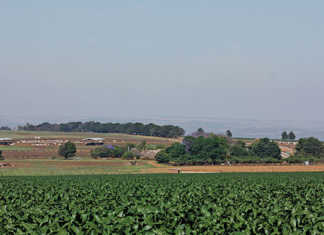 Counting the cost of your farm