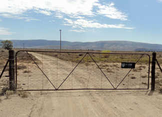 Land expropriation without compensation – ‘economic suicide’