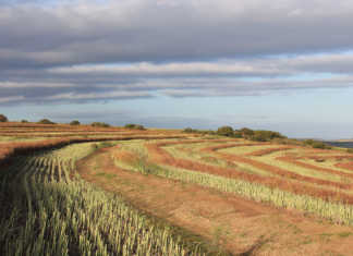 DRDLR advertises for new DG