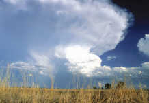 A grim glimpse into the winter rainfal region's future