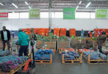 ZZ2 opens doors to the subtropical fruit industry