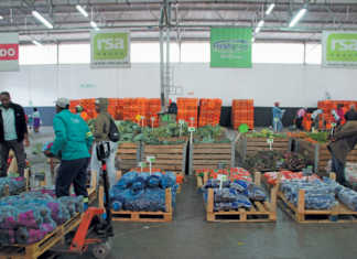 ZZ2 opens doors to the subtropical fruit industry