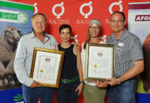 Recognition for top Free State beef breeders Recognition for top Free State beef breeders
