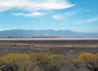 Eastern Cape farmers head west to diversify