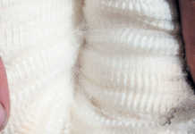 Fine wool market softer