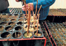 French innovation aims to reduce water usage in farming