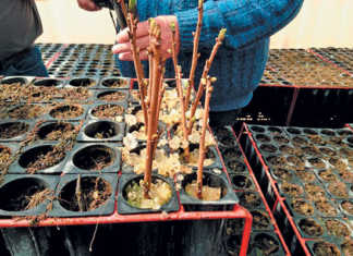 French innovation aims to reduce water usage in farming