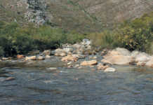 How the agri sector can secure its water usage rights