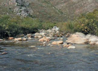 How the agri sector can secure its water usage rights How the agri sector can secure its water usage rights