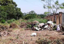 KZN urban farming project aims to combat crime