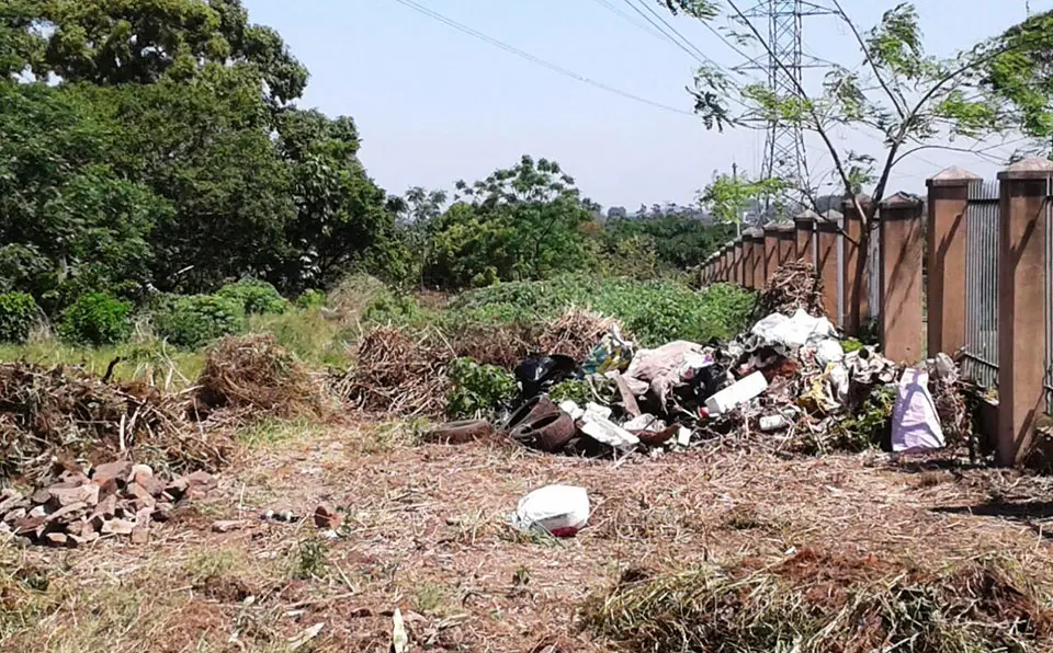 KZN urban farming project aims to combat crime