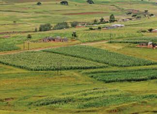 Land audit reveals no great insight
