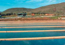 Using ‘cow power’ to make your dairy farm self-sufficient