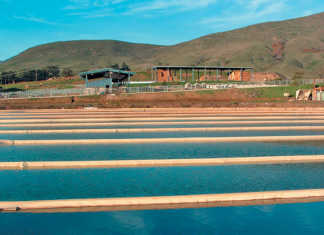 Using ‘cow power’ to make your dairy farm self-sufficient