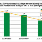 Figure-2-Sunflower-seed-yield-at-different-planting-dates