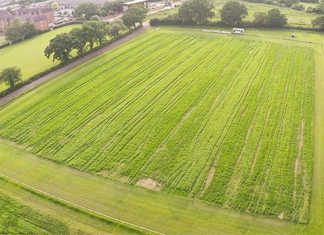 Harvesting the ‘Hands-free Hectare’ Harvesting the ‘Hands-free Hectare’