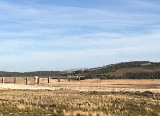 Western Cape agriculture set to lose billions