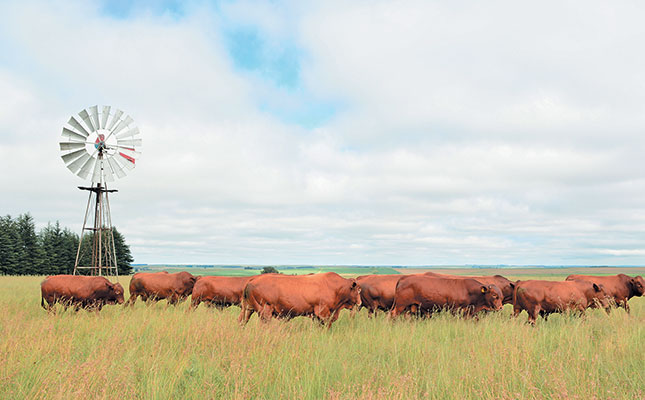 Single-step genomics: a game changer for livestock breeding Single-step genomics: a game changer for livestock breeding