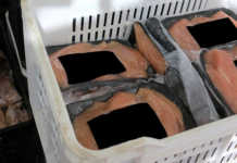 SA needs stricter safety policies for imported food products