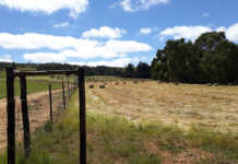 Farmers not under any threat in South Africa, government