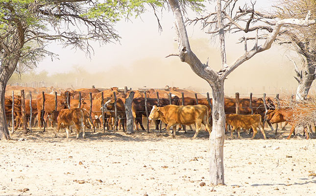 Botswana contravening UN declaration on agricultural funding Botswana contravening UN declaration on agricultural funding
