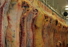 Imports halted from Brazilian meat company