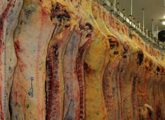 Imports halted from Brazilian meat company Imports halted from Brazilian meat company