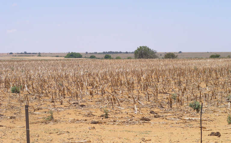Drought declared a national disaster Drought declared a national disaster