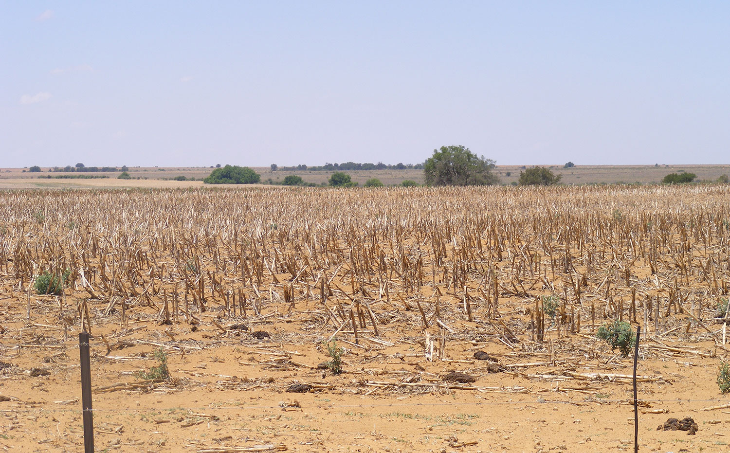 Drought declared a national disaster