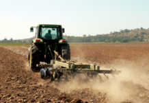 Agriculture could fix ecological mistakes of past