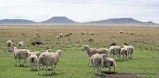 Free State farmworker empowerment initiative
