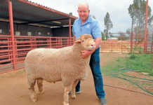 Henning Vorster