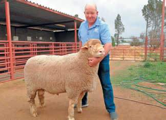 Henning Vorster