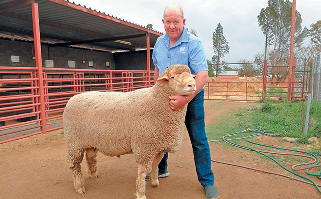 Breeding record-breaking Mutton Merinos Breeding record-breaking Mutton Merinos