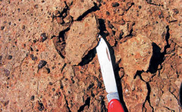 Do you know how healthy your ‘soil skin’ is?