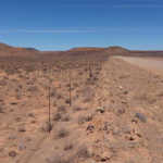 Northern Cape farmers get share of R433-million in drought aid