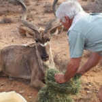 Hunters send drought aid to the Northern Cape
