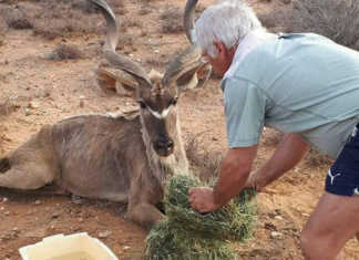 Hunters send drought aid to the Northern Cape Hunters send drought aid to the Northern Cape