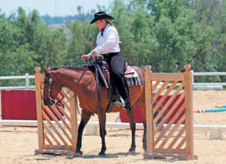 Opening a gate from horseback 17 NOVEMBER