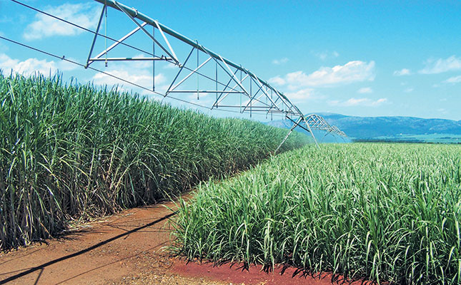 Smarter ways to irrigate sugar cane Smarter ways to irrigate sugar cane